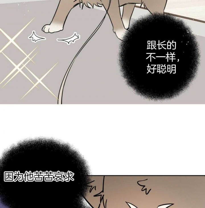 《十字路口的恶魔》第37话 第59页
