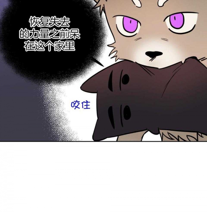 《十字路口的恶魔》第37话 第60页