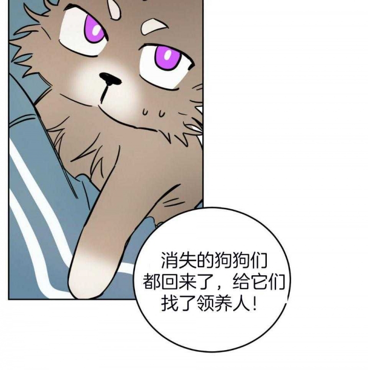 《十字路口的恶魔》第39话 第16页