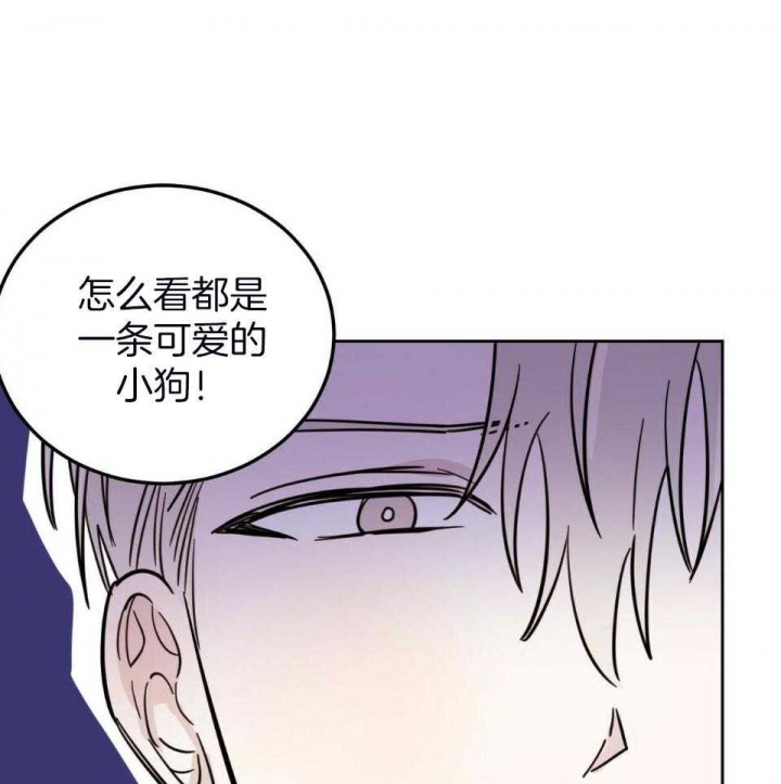 《十字路口的恶魔》第39话 第17页