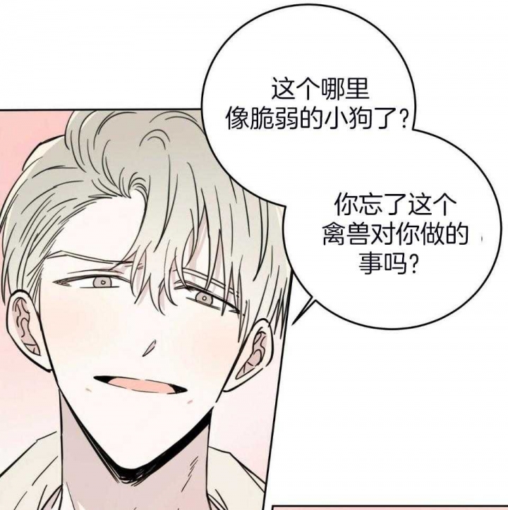 《十字路口的恶魔》第39话 第9页