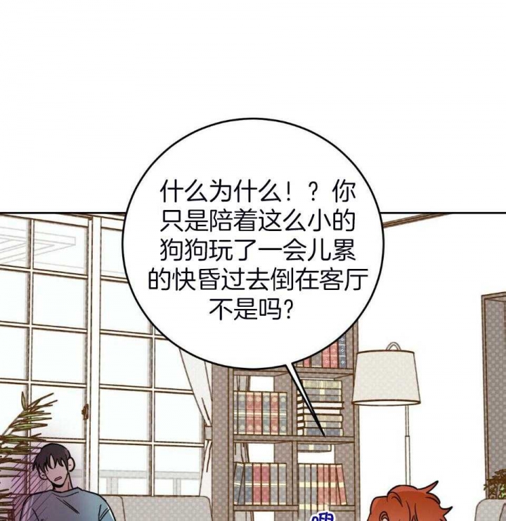 《十字路口的恶魔》第38话 第23页