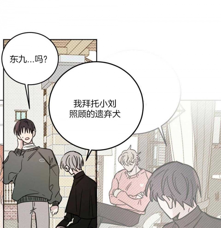 《十字路口的恶魔》第41话 第15页