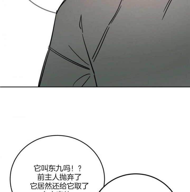 《十字路口的恶魔》第41话 第17页