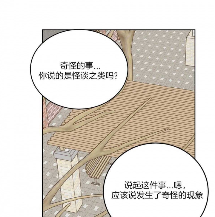 《十字路口的恶魔》第41话 第32页