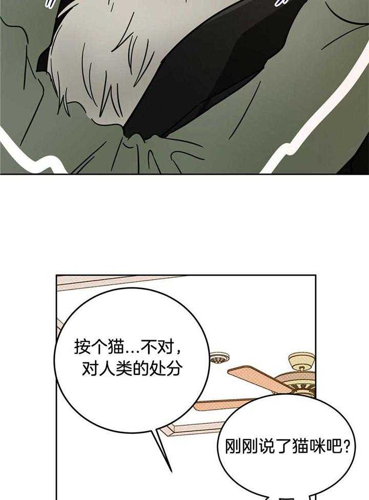 《十字路口的恶魔》第44话 第11页