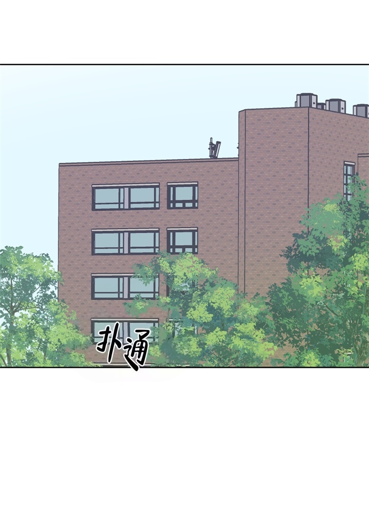 《AVLE》第47话 第19页