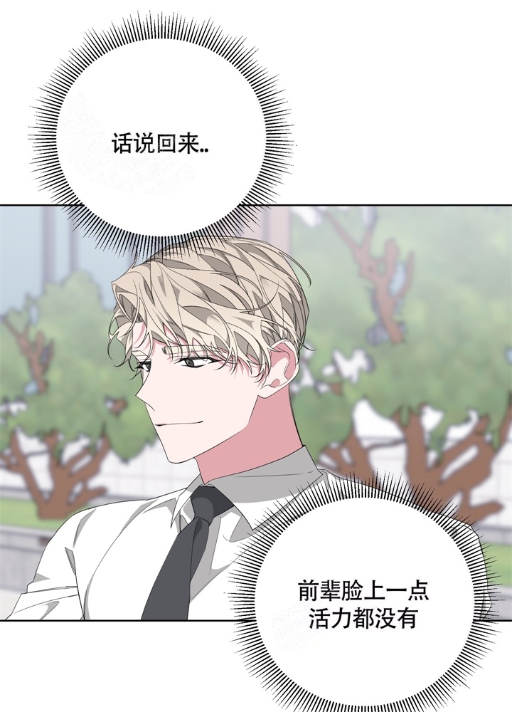 《AVLE》第48话 第27页