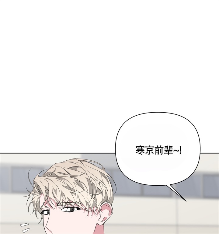 《AVLE》第48话 第6页