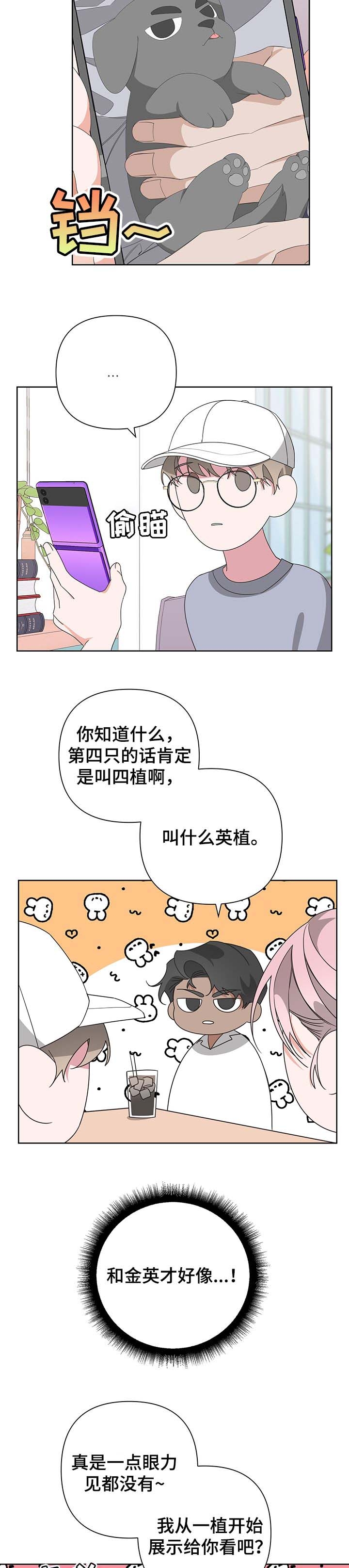 《AVLE》第63话 第5页