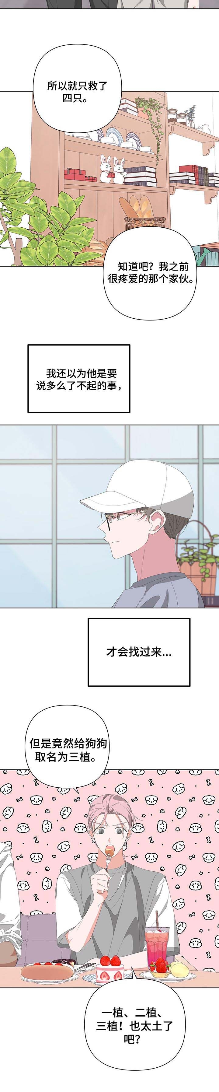 《AVLE》第62话 第8页