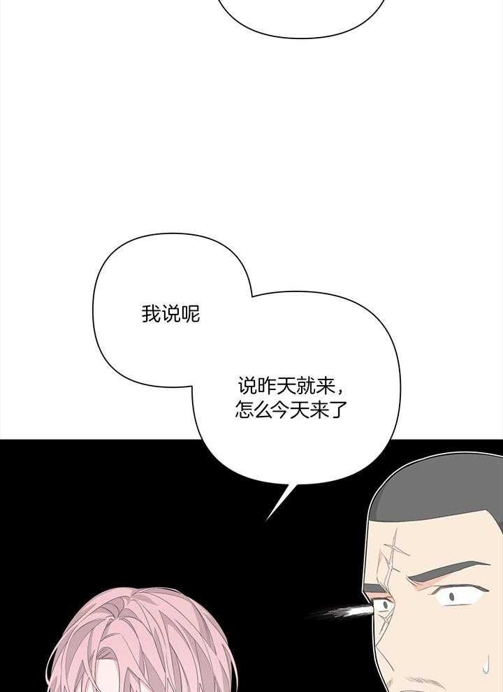 《AVLE》第83话 第29页