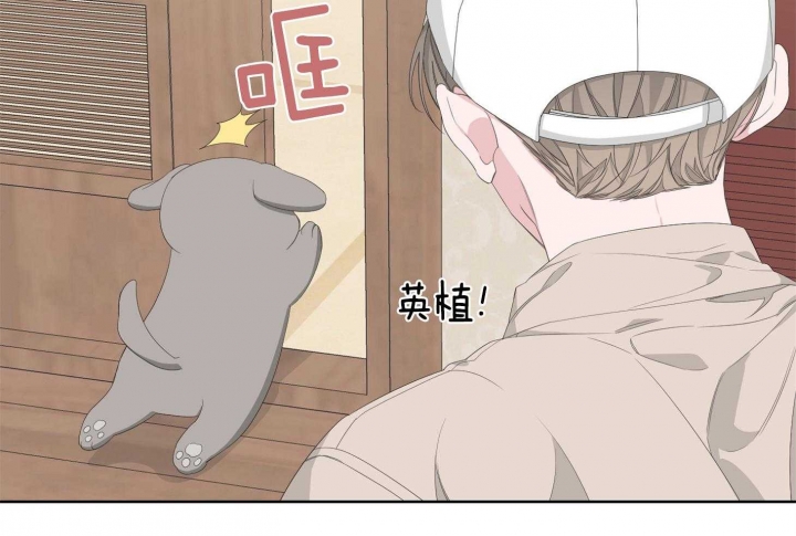 《AVLE》第82话 第63页
