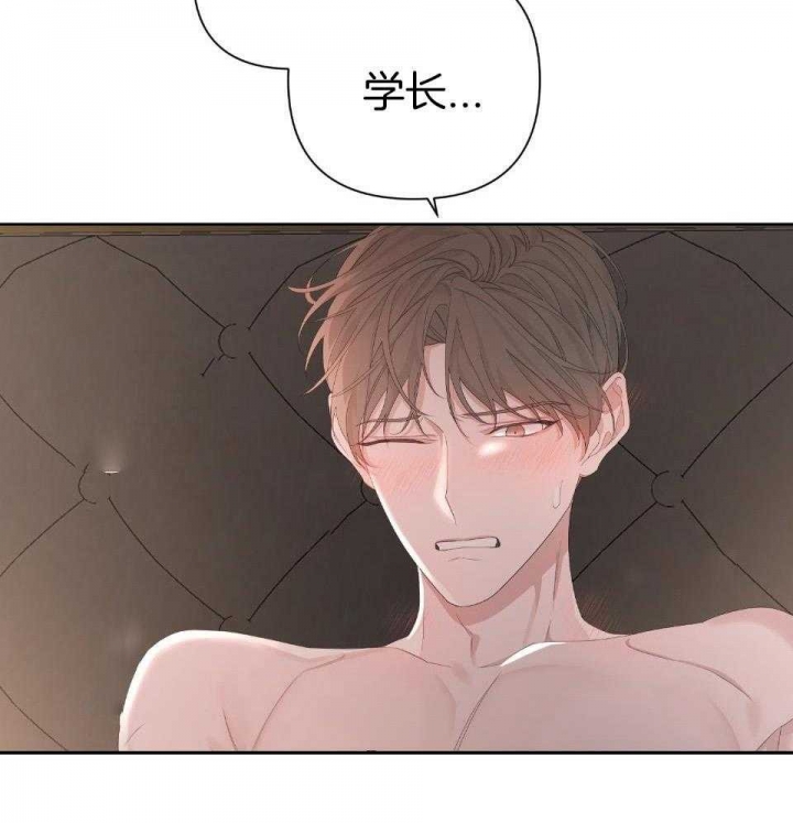 《AVLE》第95话 第51页