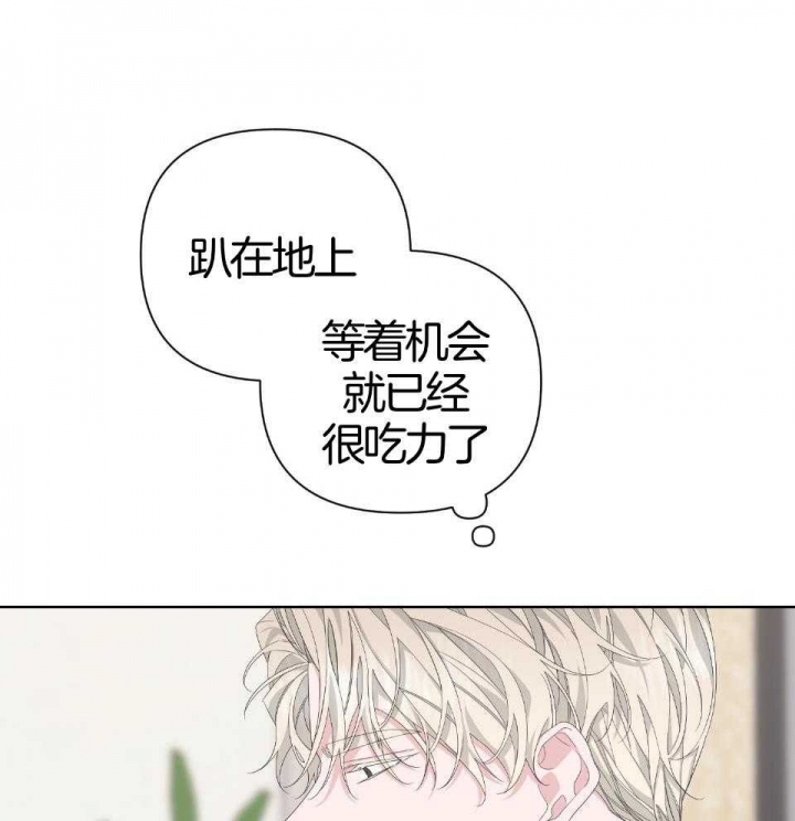 《AVLE》第93话 第44页