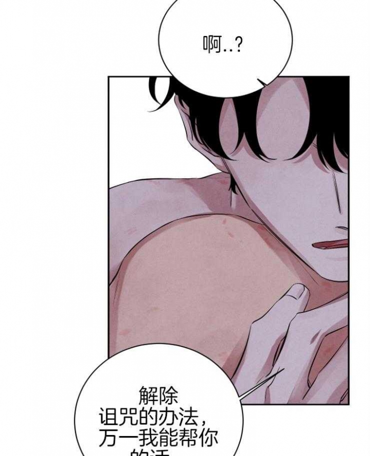 《珊瑚食者》第36话 第34页