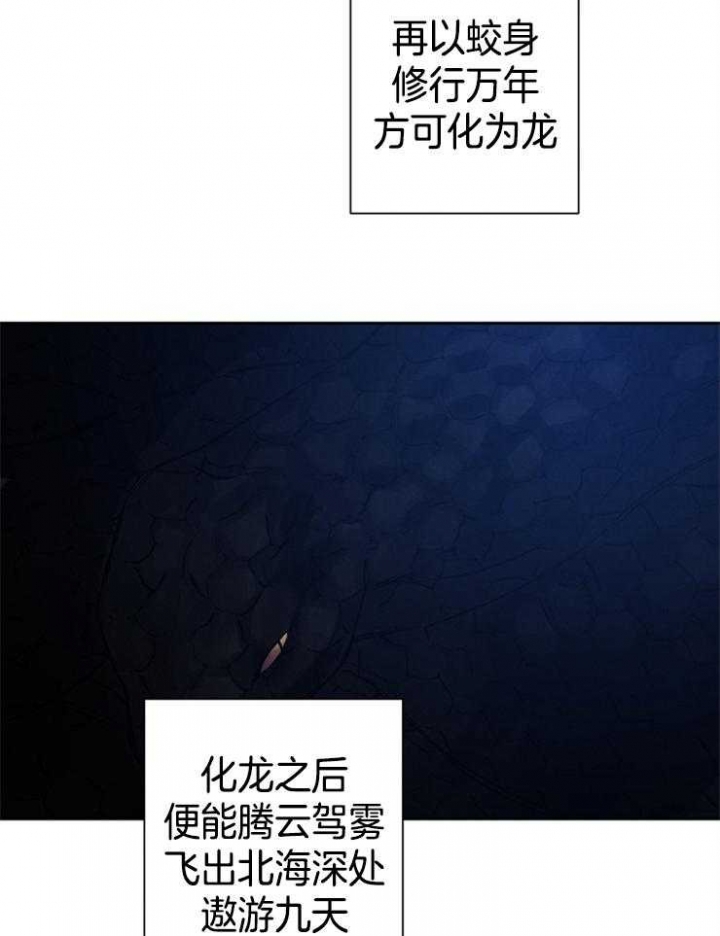 《珊瑚食者》第37话 第4页