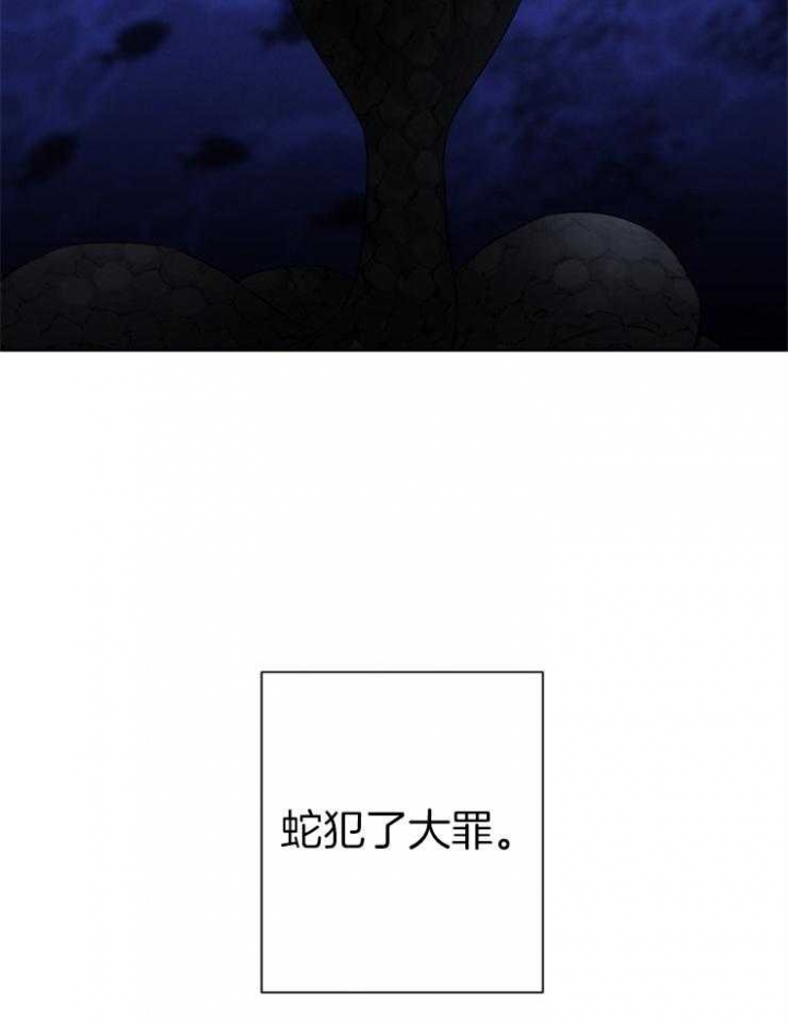 《珊瑚食者》第37话 第7页