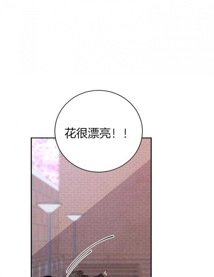 《珊瑚食者》第43话 第2页