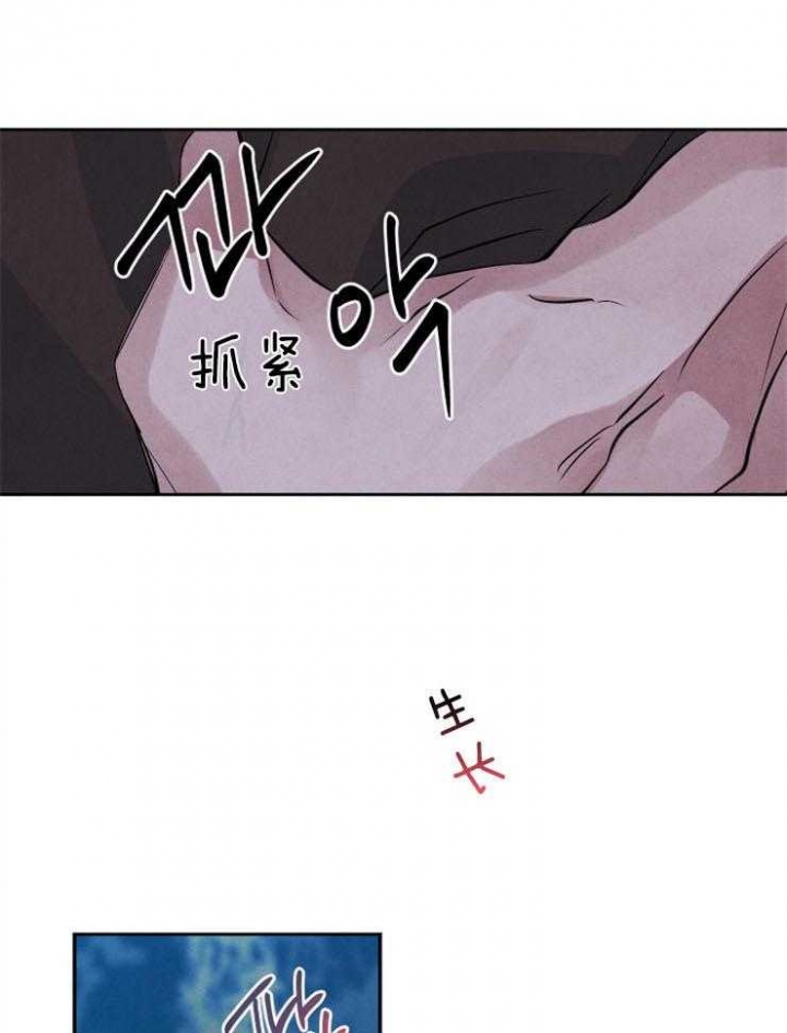 《珊瑚食者》第50话 第15页