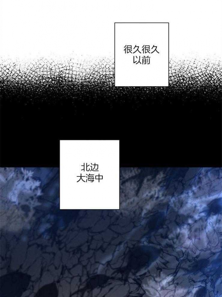 《珊瑚食者》第54话 第3页