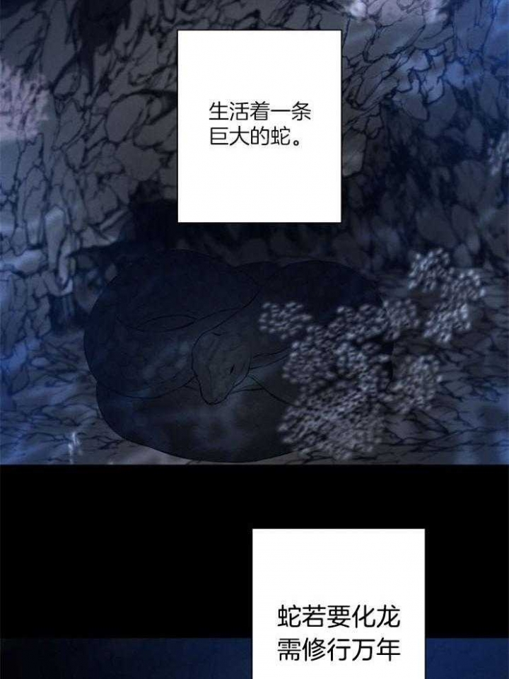 《珊瑚食者》第54话 第4页