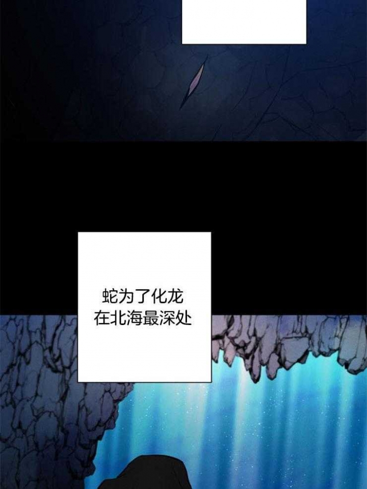 《珊瑚食者》第54话 第5页