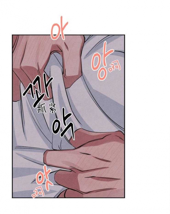 《珊瑚食者》第59话 第19页