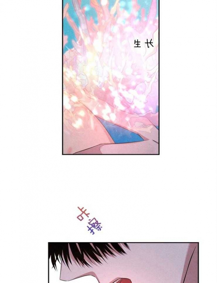 《珊瑚食者》第68话 第8页