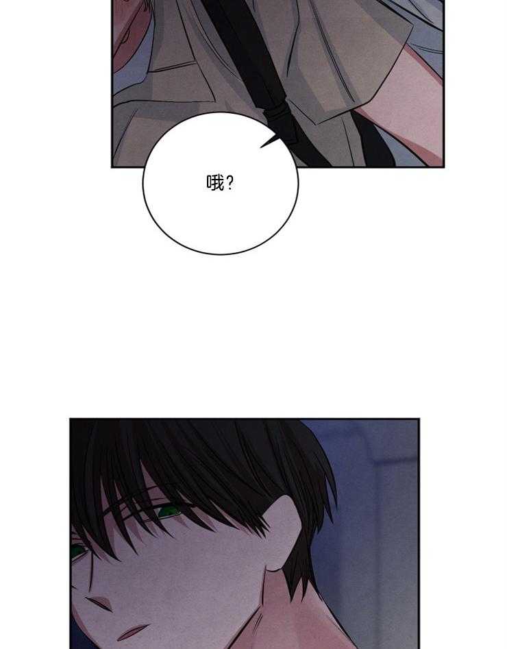 《珊瑚食者》第72话 第19页