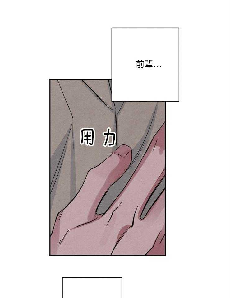《珊瑚食者》第71话 第20页