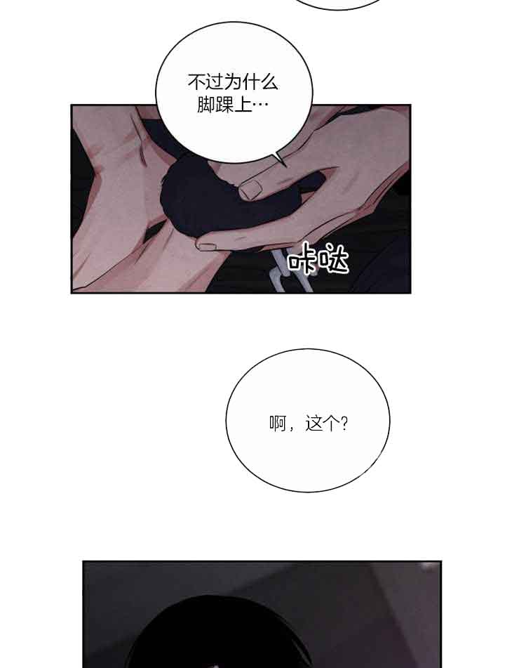 《珊瑚食者》第81话 第17页
