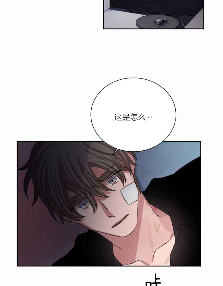 《珊瑚食者》第81话 第7页