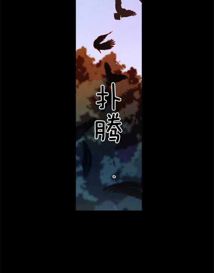 《珊瑚食者》第86话 第13页