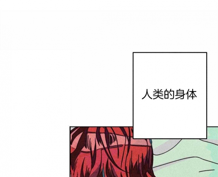 《轻易拯救法》第33话 第1页