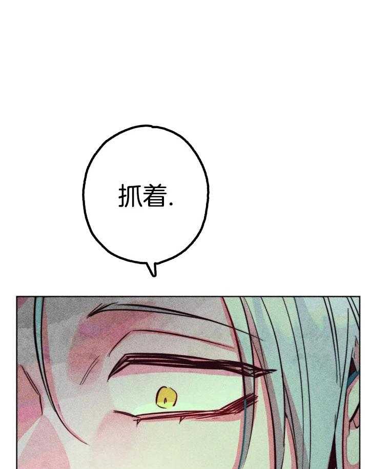 《轻易拯救法》第91话 第1页