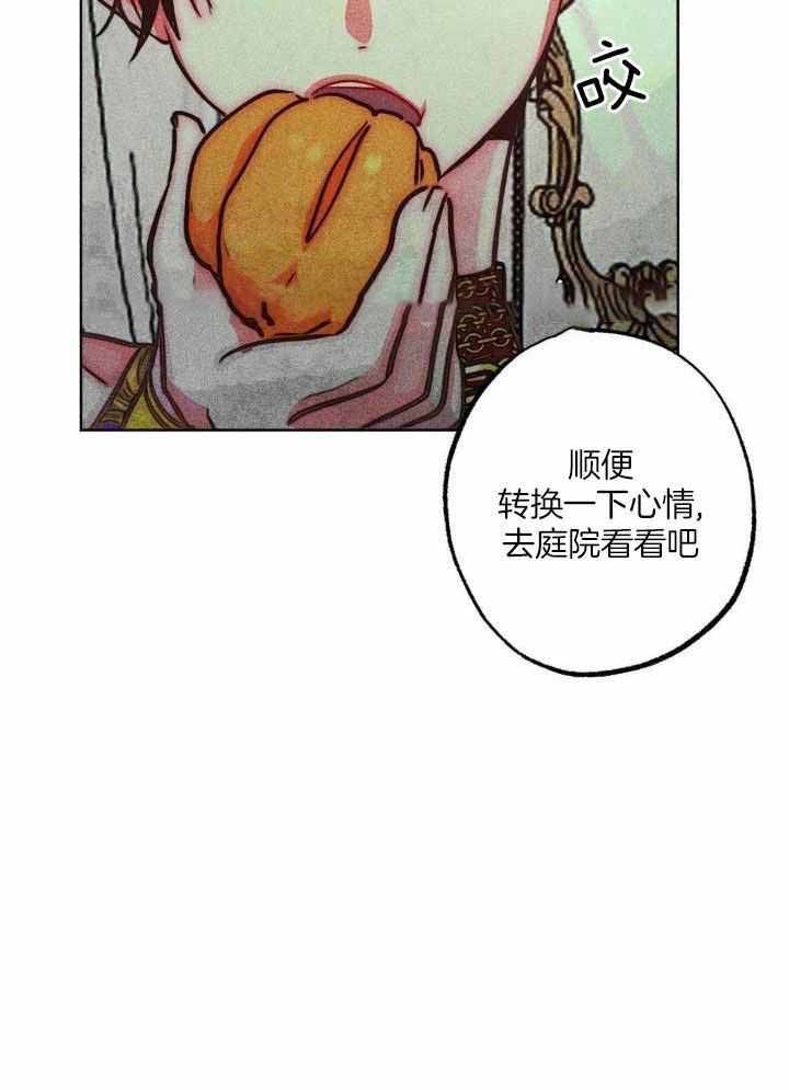 《轻易拯救法》第103话 第31页