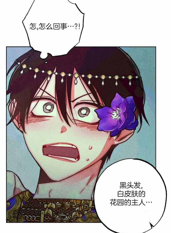 《轻易拯救法》第104话 第33页