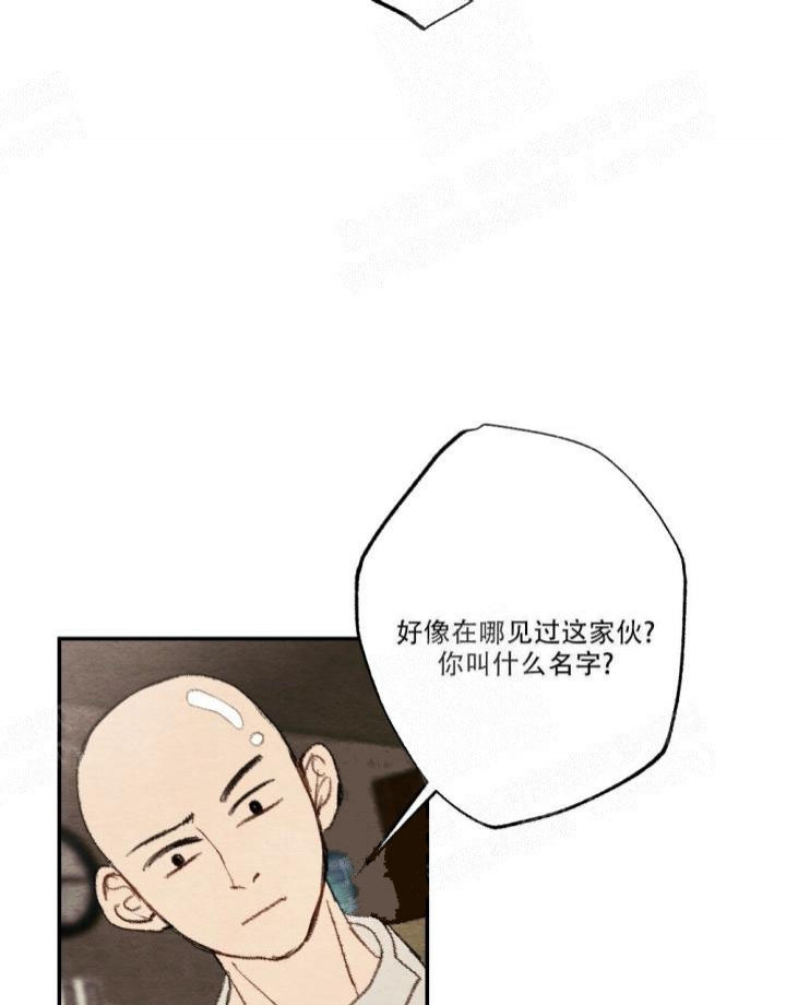 《月刊美少年》第11话 第19页