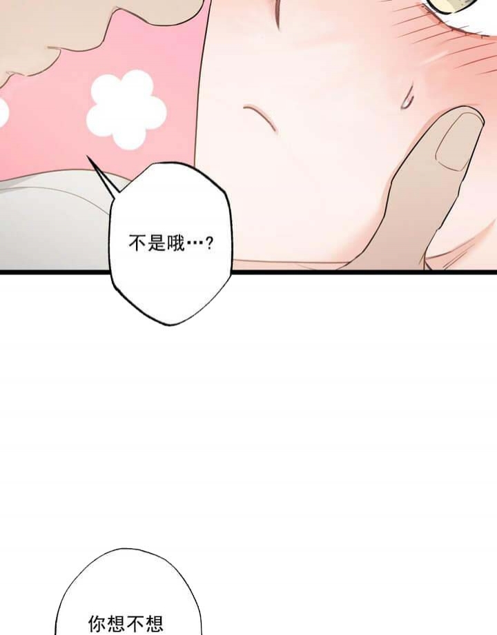 《月刊美少年》第25话 第42页
