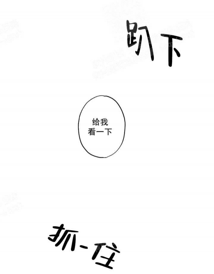 《月刊美少年》第27话 第14页
