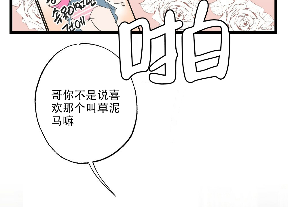 《月刊美少年》第39话 第13页