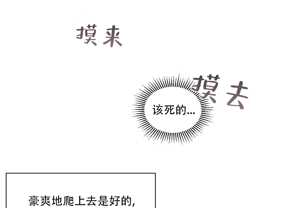 《月刊美少年》第44话 第41页