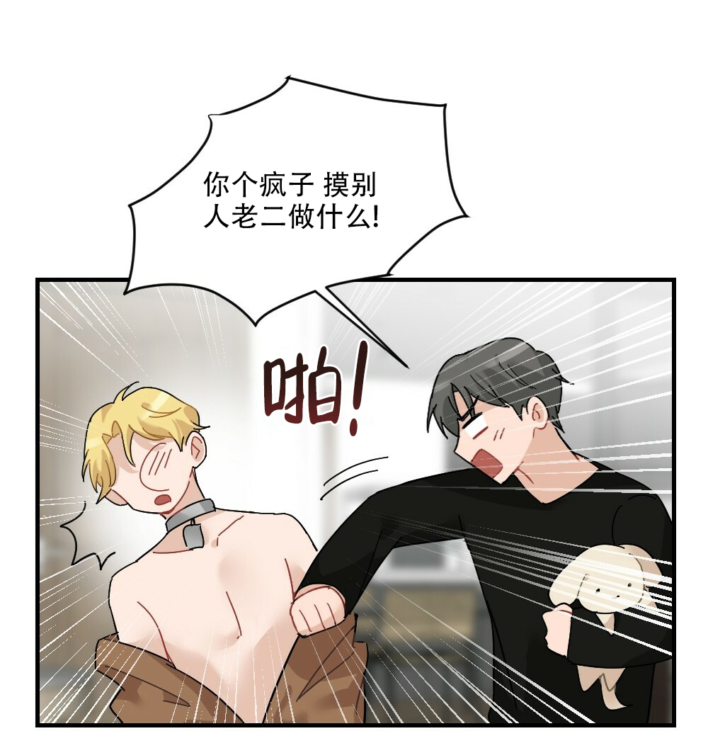 《月刊美少年》第71话 第40页