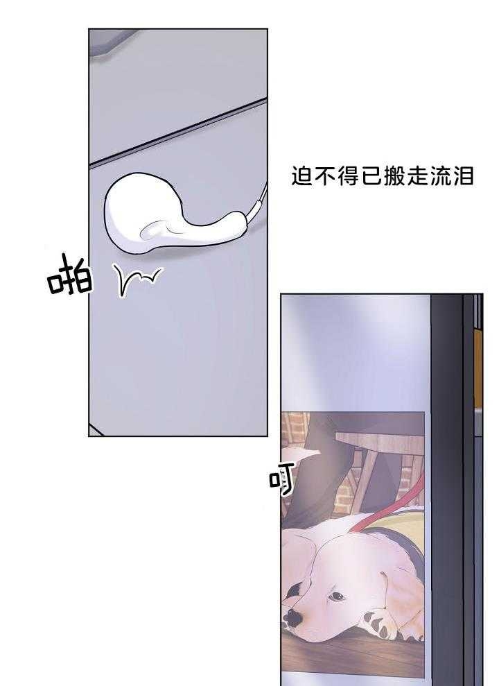 《失恋自救中》第141话 第14页