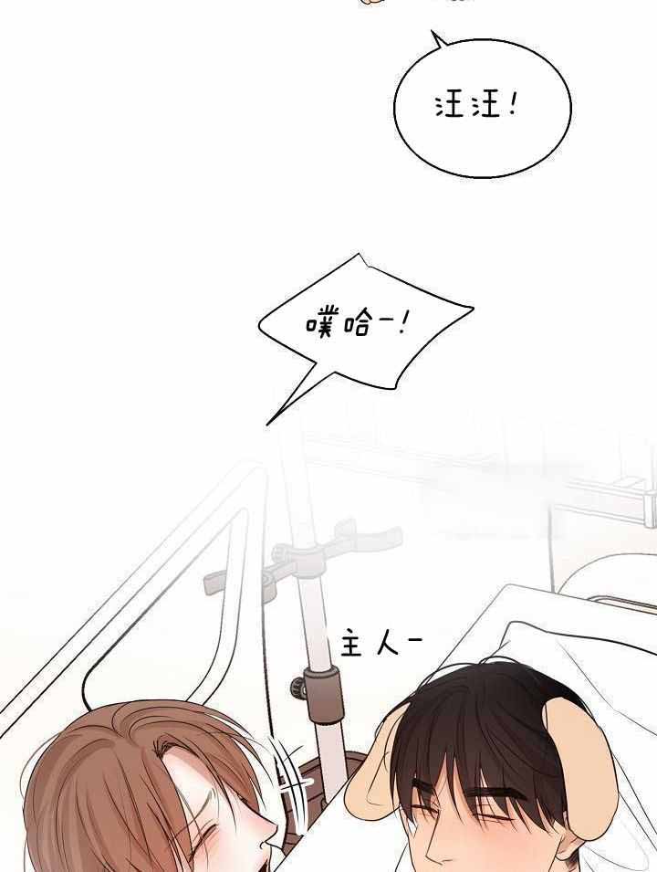 《失恋自救中》第154话 第17页