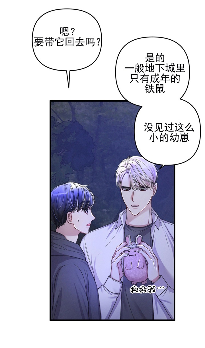 《不起眼向导的平凡日常》第30话 第5页