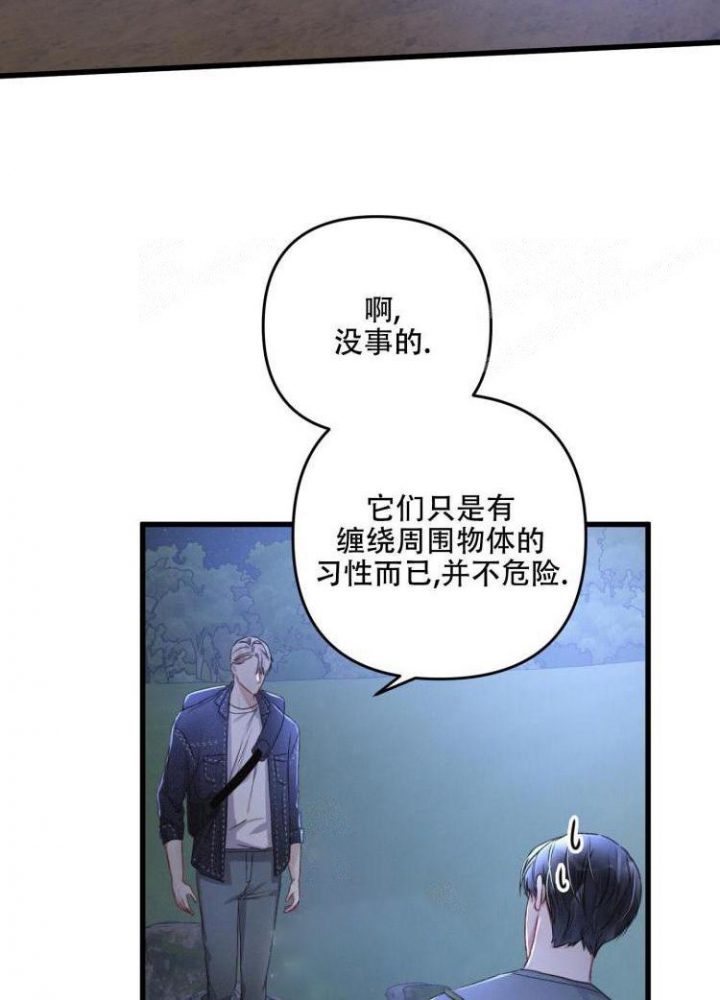 《不起眼向导的平凡日常》第44话 第28页