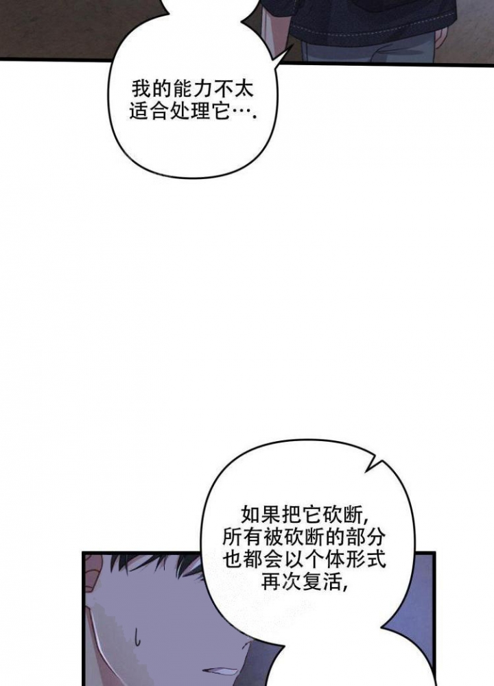 《不起眼向导的平凡日常》第44话 第33页