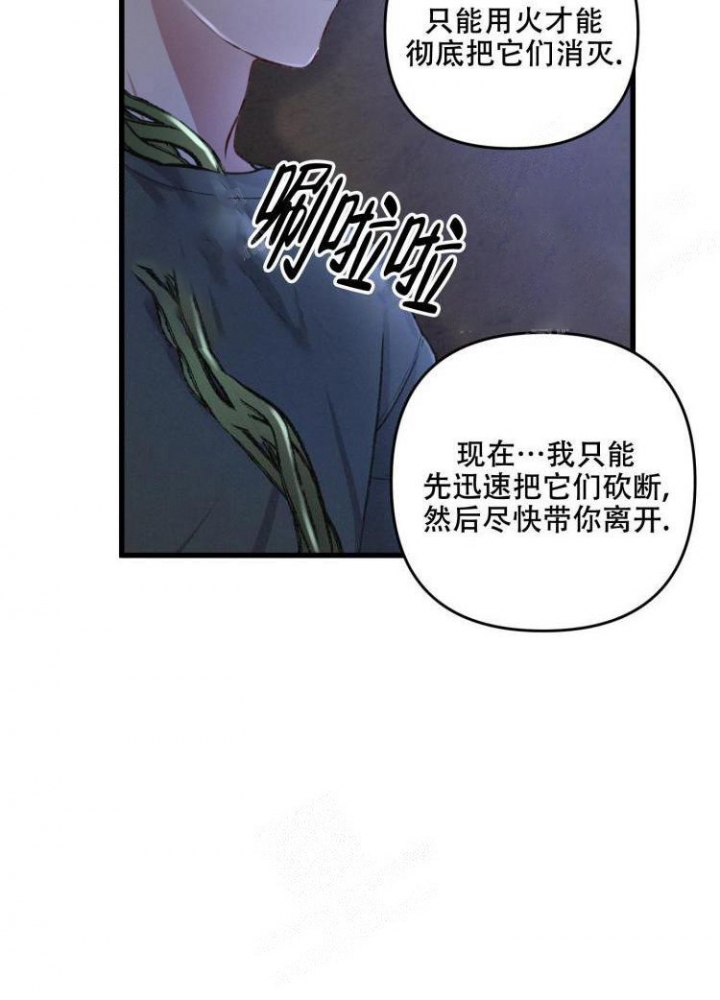 《不起眼向导的平凡日常》第44话 第34页